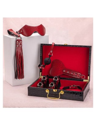 Luxury bondage set red ap_1672602363-1